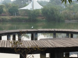 I watched its movements and thought it was really enjoying its time. Or maybe it's just my imagination. 