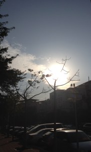 Beautiful winter afternoon sun in Jimei 