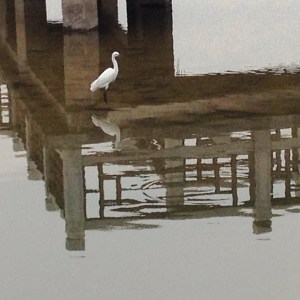 Alone but not lonely 