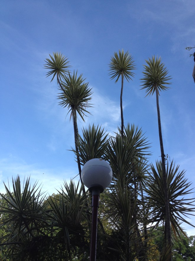 It rained last night, but we had beautiful weather this morning. 