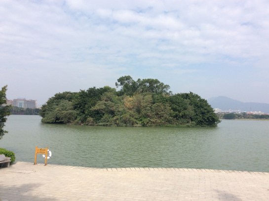 mmexport1510397201566