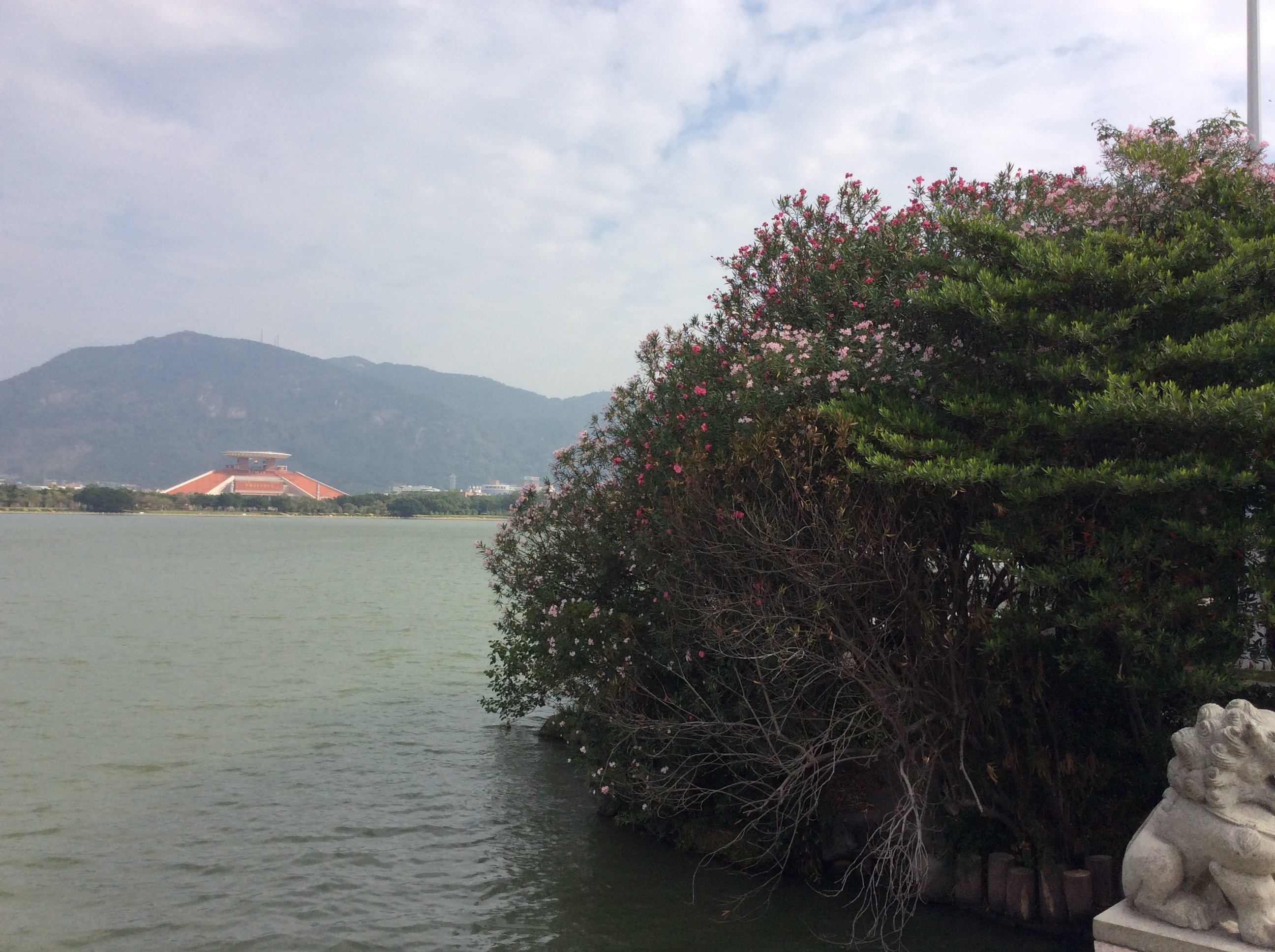 mmexport1510397221318